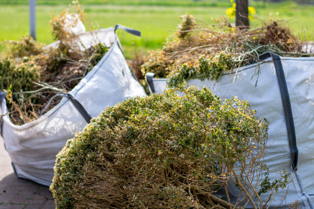 Best Hoarding Cleanup  in Coral Gables, FL